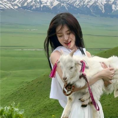 玩命大师