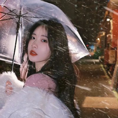 科搜研之女第24季